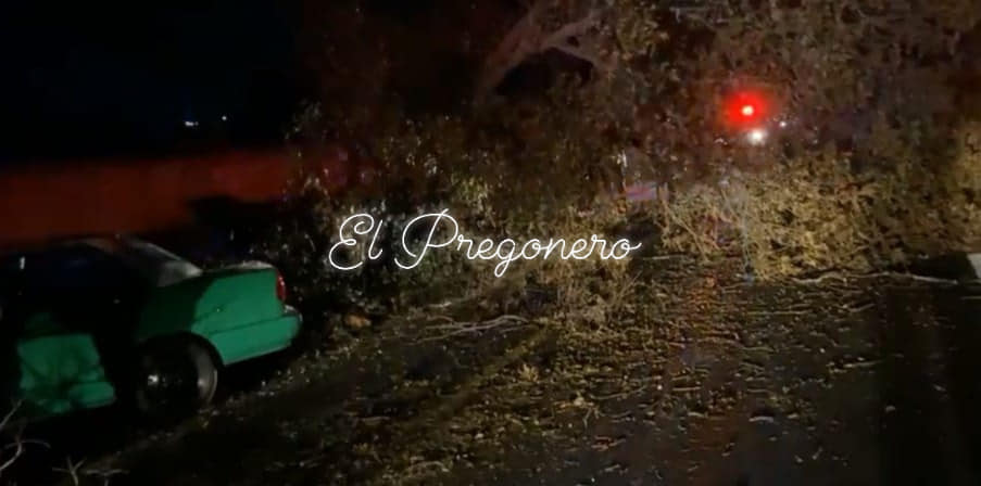 436382801_979728390827218_8208587333298885519_n