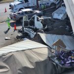 WhatsApp Image 2026-01-31 at 4.00.20 PM