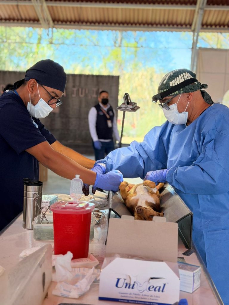 WhatsApp Image 2026-02-23 at 4.07.26 PM (1)