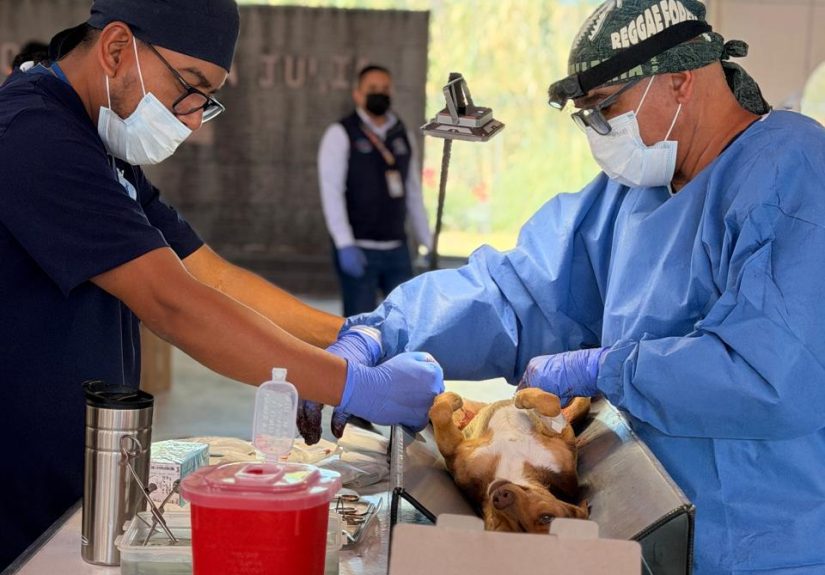 WhatsApp Image 2026-02-23 at 4.07.26 PM (1)